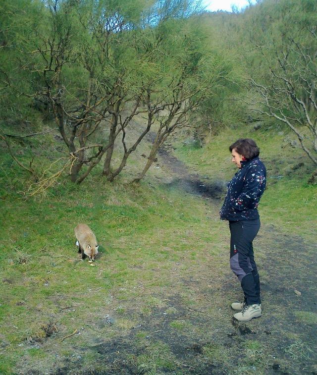 Etna Glob&B Hiking 扎费拉纳-埃特内阿 外观 照片